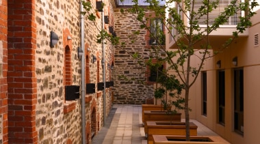 Trees in timber planter boxes in paved lane alley, apartment, brick, courtyard, facade, home, neighbourhood, real estate, brown, orange