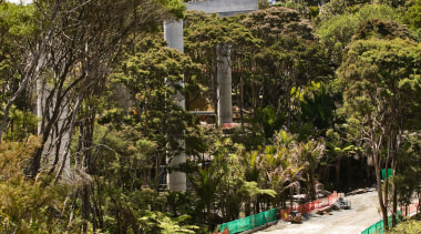 A view of the concrete piers and bridges plant, property, real estate, tree, brown