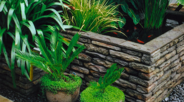 A view of this landascaped garden featuring moss arecales, flowerpot, garden, grass, houseplant, landscaping, plant, green, black