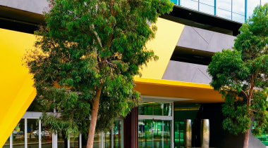 Pinnacle Property Group (recently merged with Charter Keck architecture, building, condominium, facade, home, house, mixed use, plant, real estate, tree, green, brown