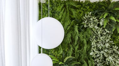 A green wall and timber steps. - Japanese 