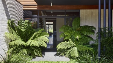 The rear entry – nature seems to be 