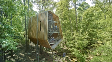This tree house is the first of three forest, jungle, nature reserve, plant community, tree, woodland, green, brown