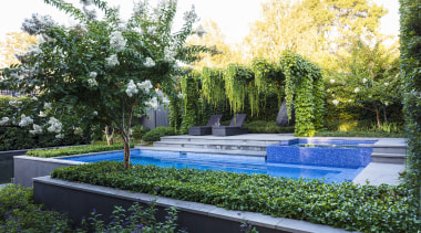 Hanging by the pool -  