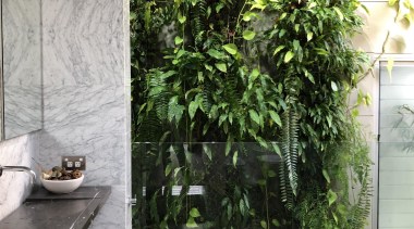 Bringing in a green plant – or several flowerpot, houseplant, interior design, leaf, plant, tree, wall, gray