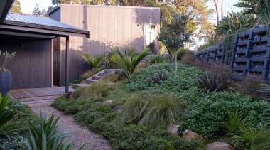 Over time, the dense native planting will continue 