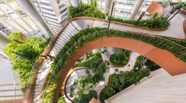 Realm of the senses – the calming sights, 