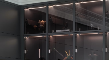 Glass-fronted display cabinets. - Industrial vibe - 