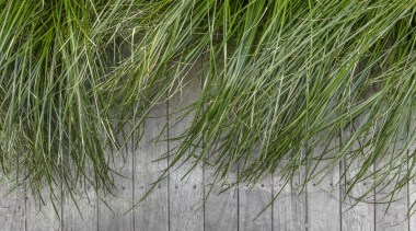 Natural tones dovetail with the strategic plantings. 