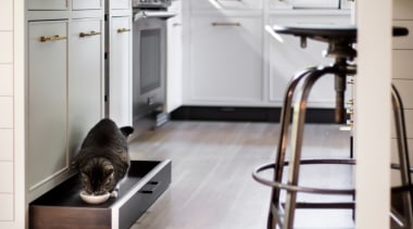 ​​​​​​​Not a cat door, but a cat drawer kitchen cabinetry, countertop, floor, flooring, hardwood, home, interior design, kitchen, timber flooring, cat drawer, Studio Dearborn
