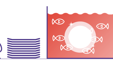 Fish nibbling your dishes clean in the years white