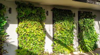Due to their lightweight structure and media, green 