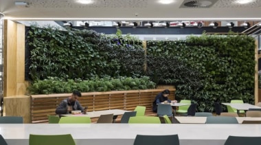 The Datacom building features a green wall - plant, roof, gray