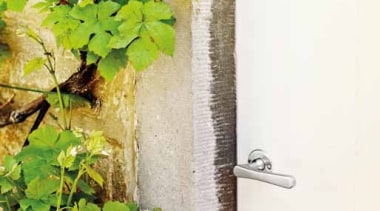 1935, Solid Lever Handle on rose. Satin Nickel leaf, plant, wall, window, wood, white