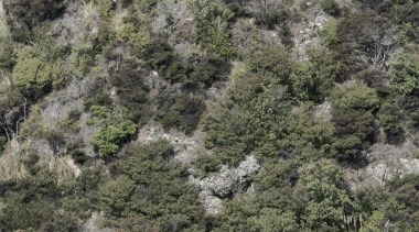 ADNZ Waikato Region Award Winner for Addition and bay, coast, coastal and oceanic landforms, inlet, ocean, plant community, promontory, sea, shore, sky, terrain, tree, water, water resources, waterway, gray