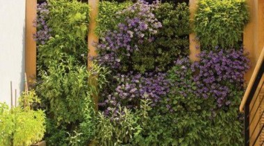 Living Wall - Vertical Garden - courtyard | courtyard, garden, home, landscaping, plant, property, real estate, residential area, wall, window, brown, white