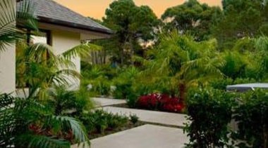 pce0015web.jpg - pce0015web.jpg - architecture | arecales | architecture, arecales, backyard, courtyard, estate, garden, home, house, landscape, landscaping, outdoor structure, palm tree, plant, property, real estate, residential area, resort, roof, yard, brown