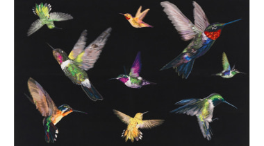 Jewel-like iridescent hummingbirds are hand woven in silk beak, bird, fauna, feather, hummingbird, organism, pollinator, wing, black, white