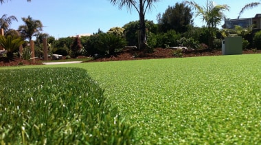 Commercial landscape - arecales | field | grass arecales, field, grass, grass family, grassland, land lot, landscape, lawn, meadow, palm tree, plant, sky, tree, vegetation, green