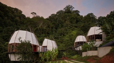 The Coco pods are immersed in the jungle 