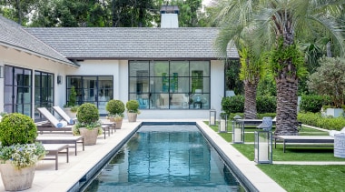 A low line of small shrubs and three 