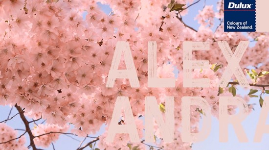 Dulux Header Hero - blossom | branch | blossom, branch, cherry blossom, flower, petal, pink, plant, sky, spring, tree, pink