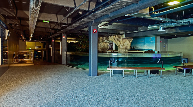 Large open plan area at Kelly Tarlton's with floor, leisure centre, structure, teal