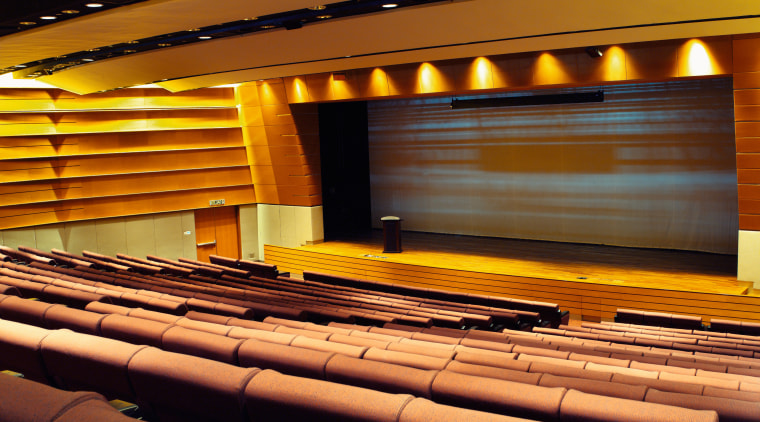 view of the plenary theatre walls that comprise auditorium, conference hall, interior design, musical instrument accessory, performing arts center, theatre, black, brown