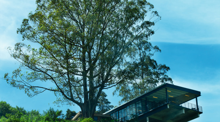 view of the large glazed outdoor terrace, giving branch, cloud, grass, leaf, nature, plant, sky, tree, vegetation, woody plant, teal