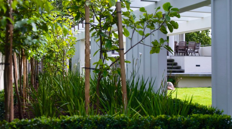 A view of a garden landscaped by Space courtyard, garden, grass, grass family, house, plant, shrub, tree, yard, gray, brown