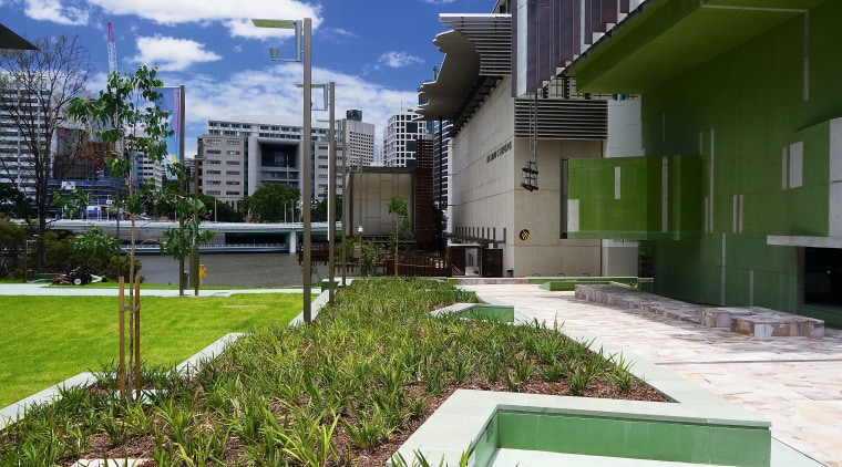 A view of some landscaping by Dig It architecture, building, city, condominium, daytime, estate, grass, home, house, landscape, plant, real estate, residential area, sky, tree, urban area, white, brown