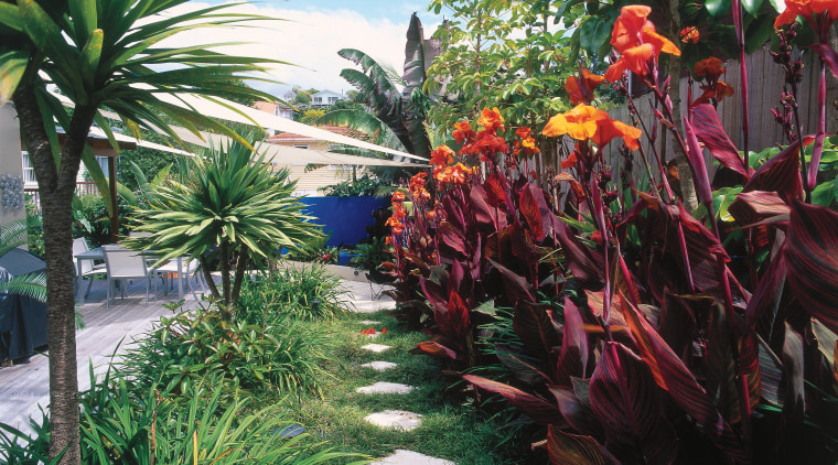 An exterior view of the patio and garden arecales, botanical garden, flora, flower, garden, grass, landscaping, palm tree, plant, shrub, tree, tropics, vegetation, green, black