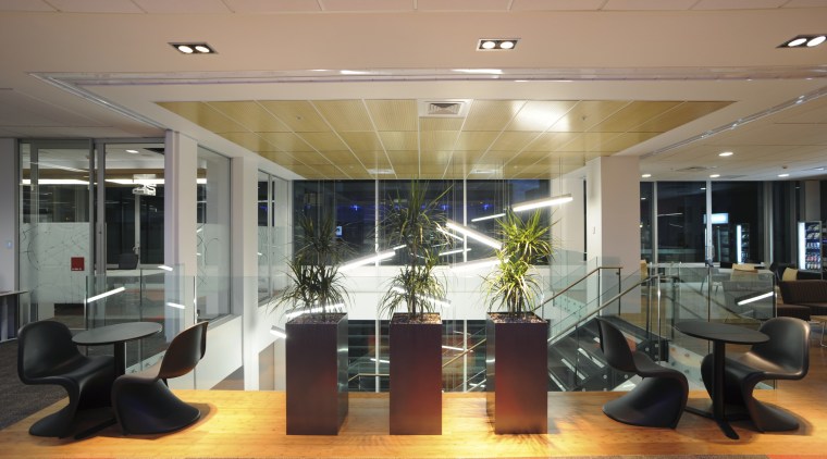 Ecodure Horizontal Coffee Bamboo flooring from Mambo Flooring ceiling, interior design, lobby, office, orange