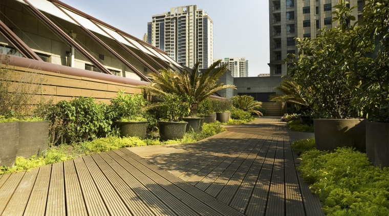 View of the roof terrace at NZ Central architecture, building, city, condominium, daytime, grass, landmark, line, metropolitan area, outdoor structure, real estate, residential area, roof, sky, skyscraper, sunlight, tree, urban area, walkway, wood, brown