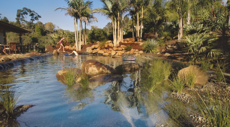 View of a natural swimming pool from Palmco arecales, landscape, palm tree, reflection, resort, sky, swimming pool, tree, tropics, vegetation, water, water feature, water resources, brown