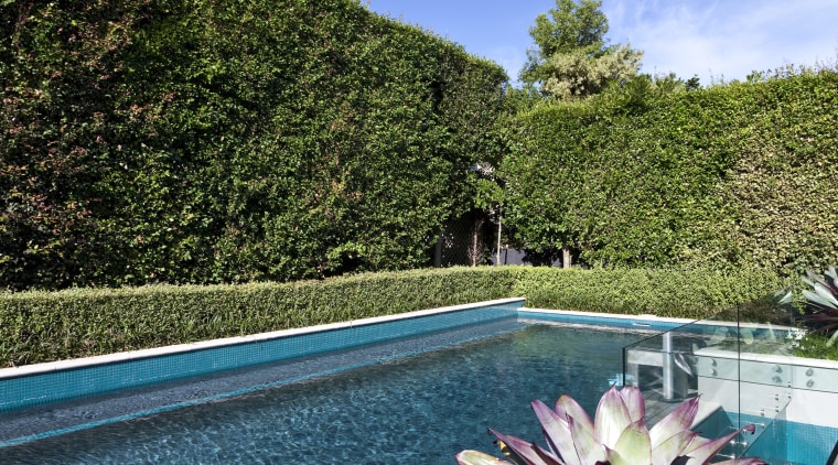 The rear yard of this home has been flora, flower, garden, landscape, leaf, leisure, mountain, nature, plant, reflection, sky, spring, swimming pool, tree, vacation, water