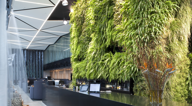 View of public space in the Novotel Auckland architecture, courtyard, flowerpot, plant, real estate, roof