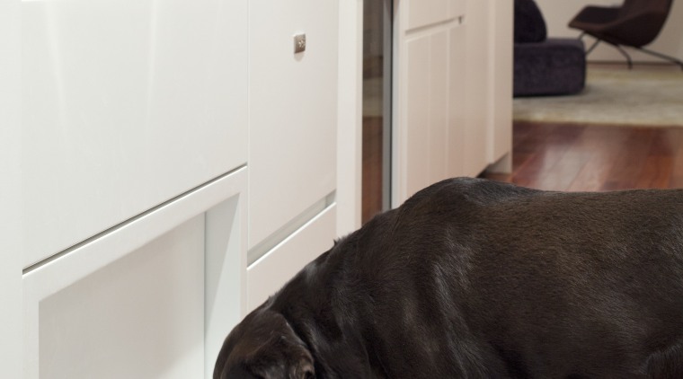 Here is a view of a kitchen designed black, dog, dog like mammal, floor, flooring, furniture, home, interior design, living room, room, table, wood, gray