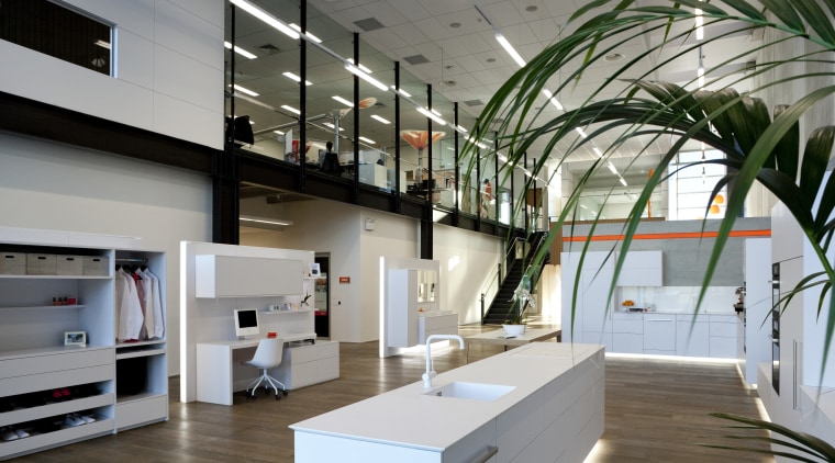 Interior with white display kitchen and palm. - architecture, ceiling, daylighting, interior design, gray