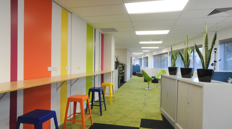 This 20m wall in the new Auckland office ceiling, interior design, office, gray