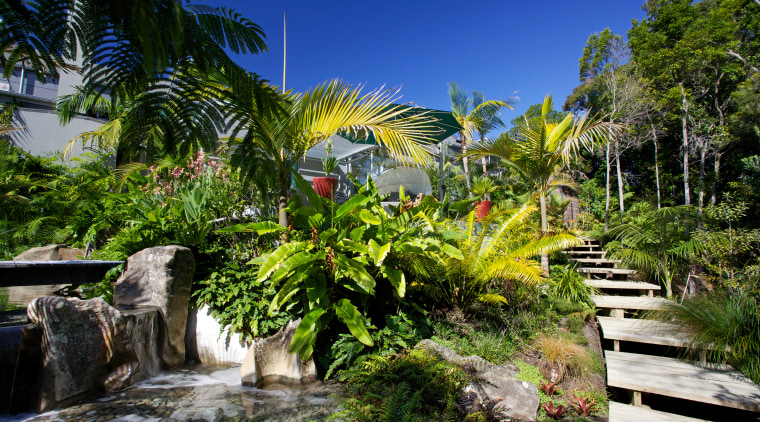 Designed by Mark Read, Natural Habitats, this garden arecales, botanical garden, estate, flora, garden, landscape, nature, palm tree, plant, real estate, resort, tourist attraction, tree, tropics, vegetation, water, brown