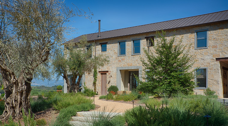 Ancient olive trees on the approach to the cottage, estate, facade, farmhouse, home, house, property, real estate, residential area, sky, villa, window