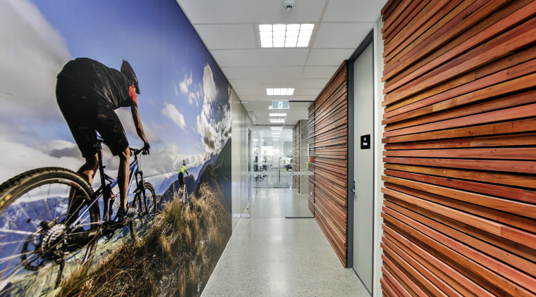 On your bike this empowering photo mural seems bicycle, cycling, hybrid bicycle, road bicycle, gray