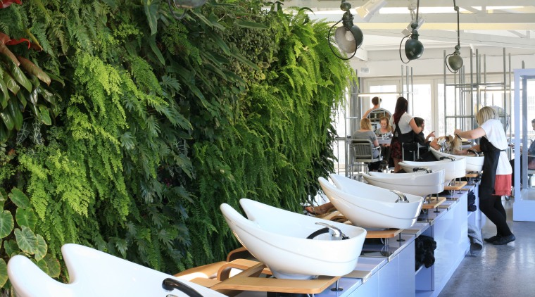 A green wall such as this one in interior design, plant, restaurant, tree, green