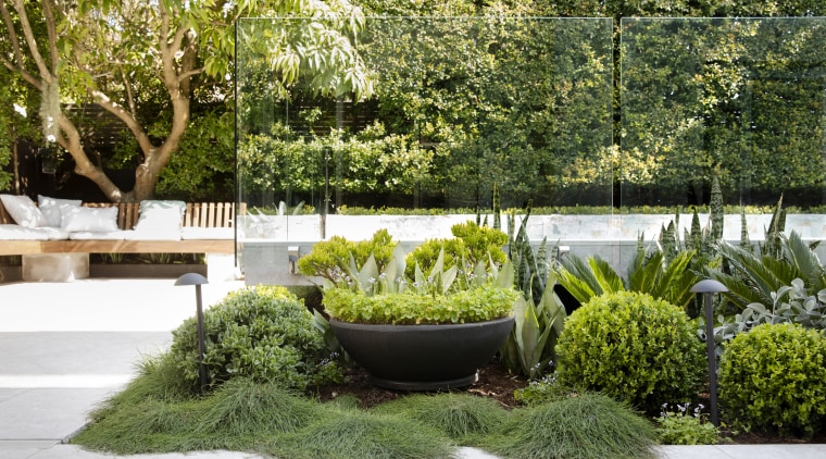 Glass fencing provides both safety and a sense 