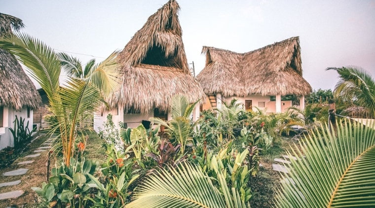 The lush gardens that permeate Swell inspire an architecture, arecales, attalea speciosa, building, hut, landscape, palm tree, plant, tree, tropics, vegetation, white