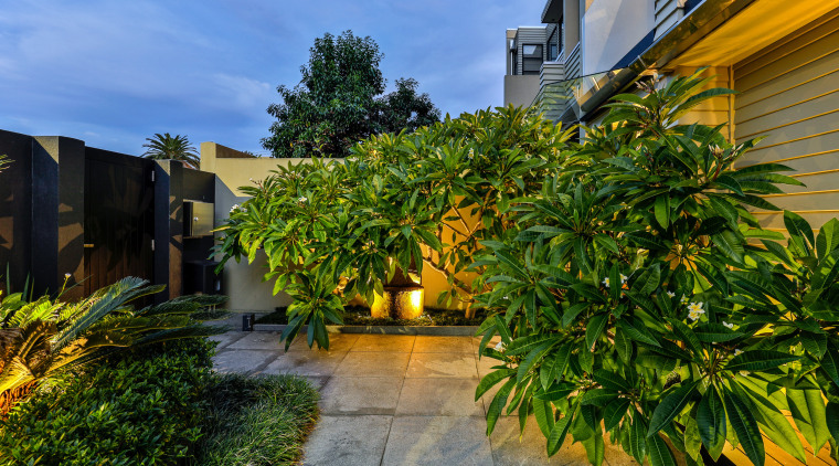 Through thoughtful design and appropriate plant selection, you 