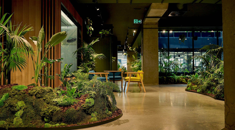 Another terrarium walkway looking out to the communal 