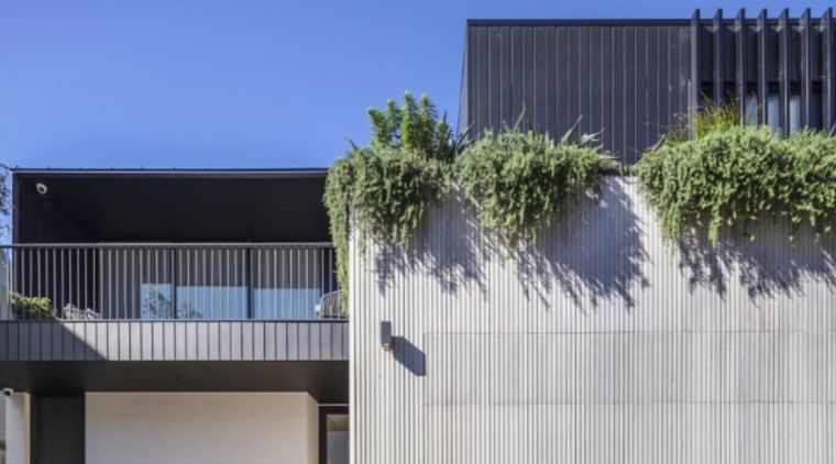 The landscaping softens the home's strong architectural lines 