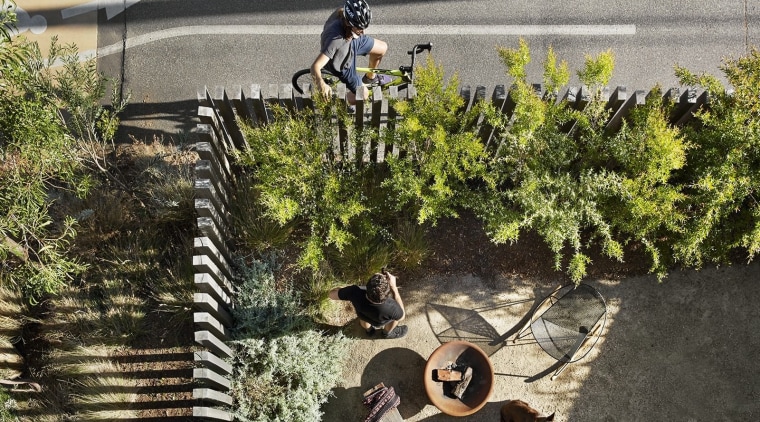Architect: Liam WallisPhotography by Tess Kelly plant, tree, vehicle, black, gray